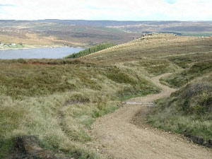 Endurance climb or mad downhill. 