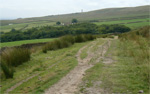 Looking towards Holcombe Tower from Robin Hoods Well