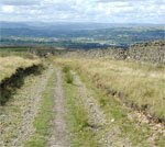 Comming down the kings Highway. looking towards Whalley nab and the Bowland fells.