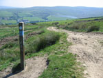 waterfoot downhill
